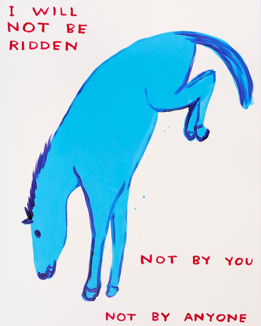 20230219_203105.jpg