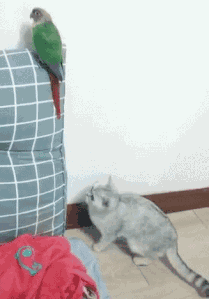 dj_99322.gif