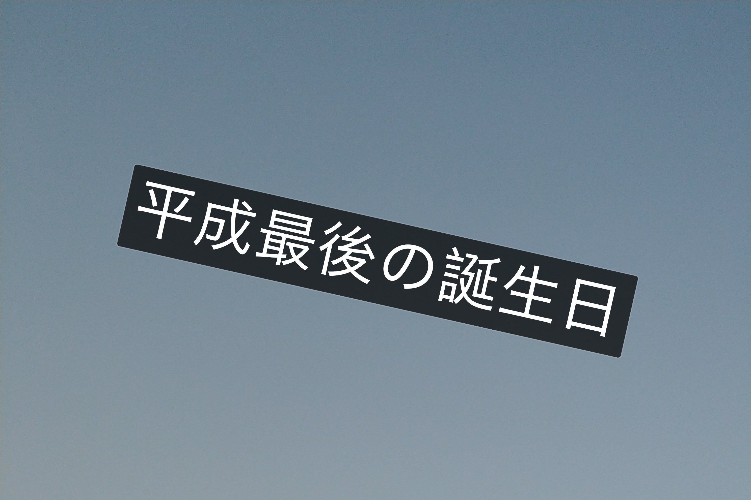 zz_215838.jpg
