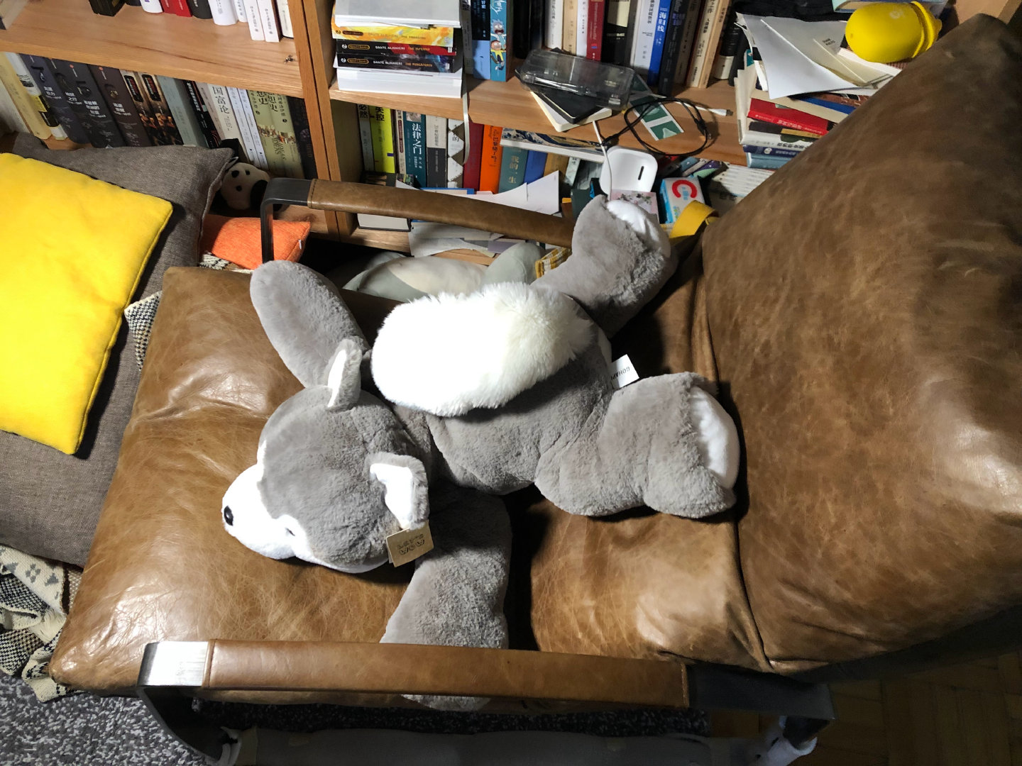20220115_203257.jpg