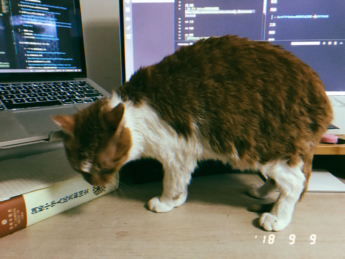 g2_311243.jpg