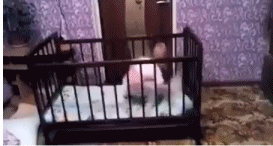 rt_20160622_082140.gif