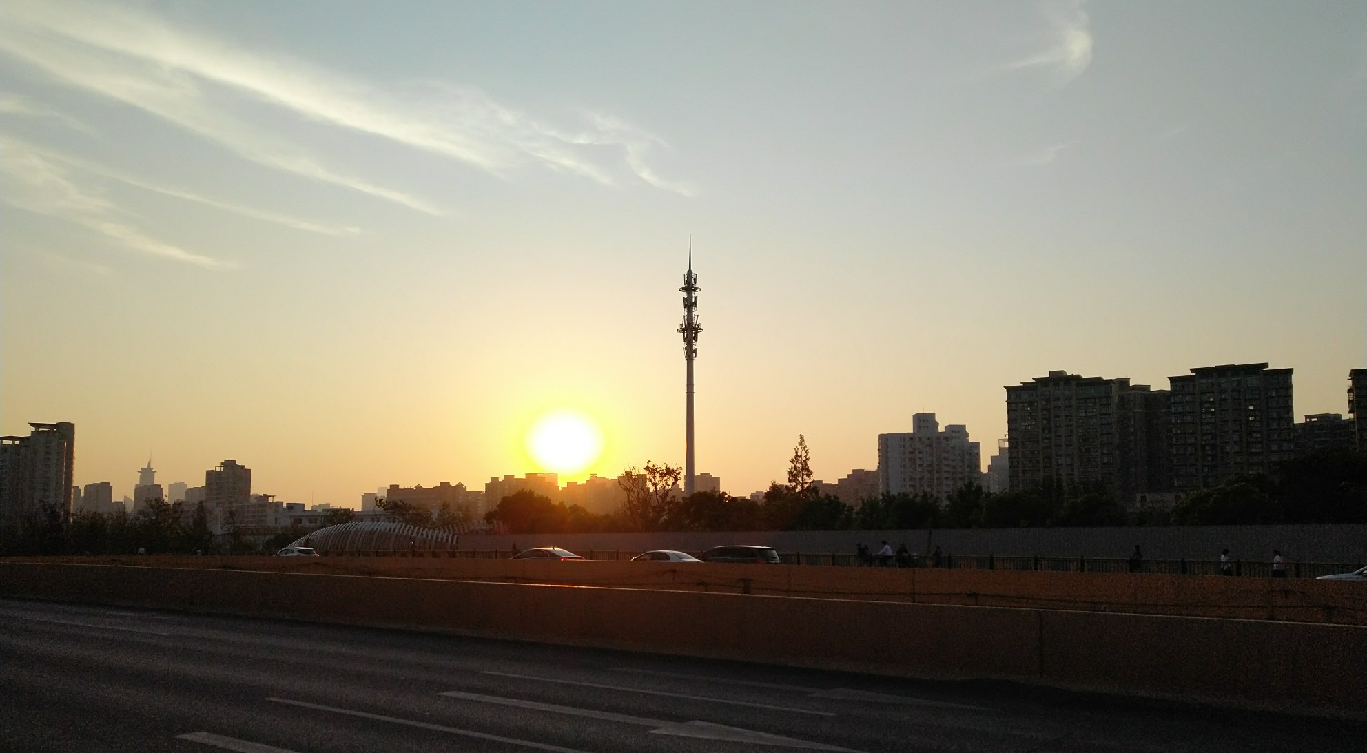 40_293449.jpg