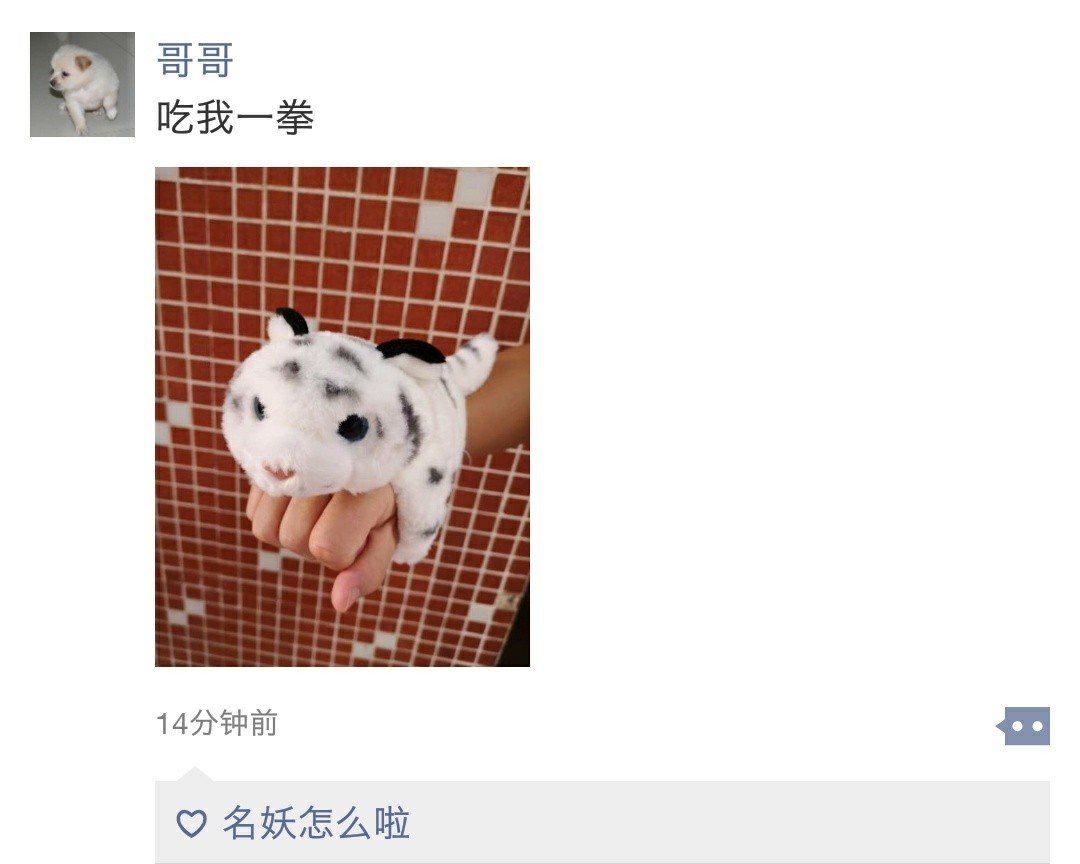 c8_510289.jpg