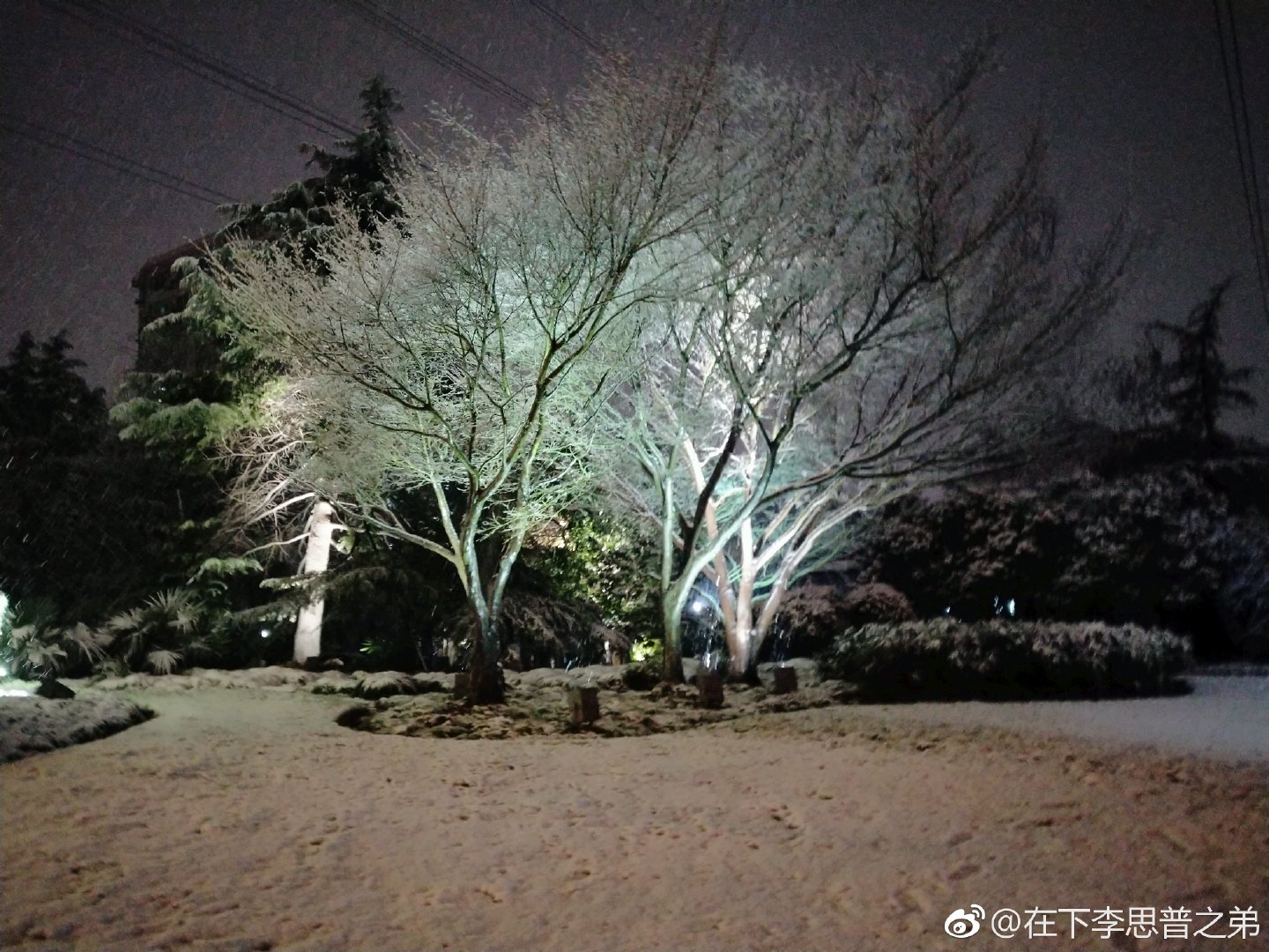 rt_20190125_125818_8.jpg