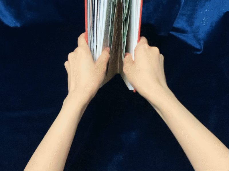 rt_20220114_200431_6.gif