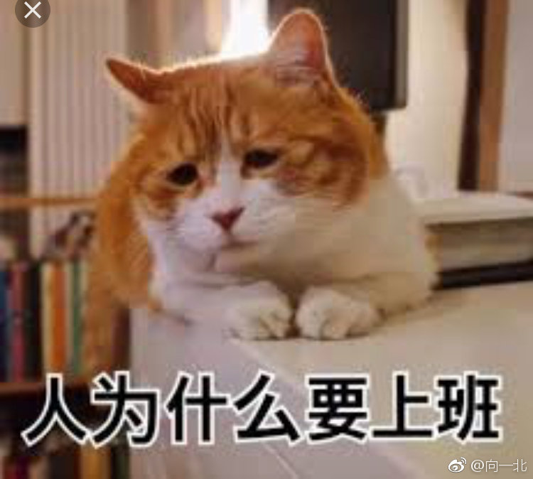 rt_20180523_173600_2.jpg