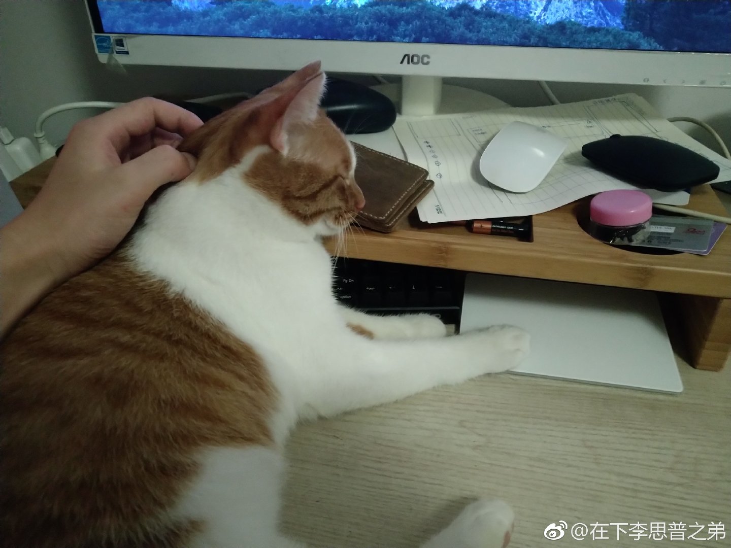 20180809_230929_2.jpg