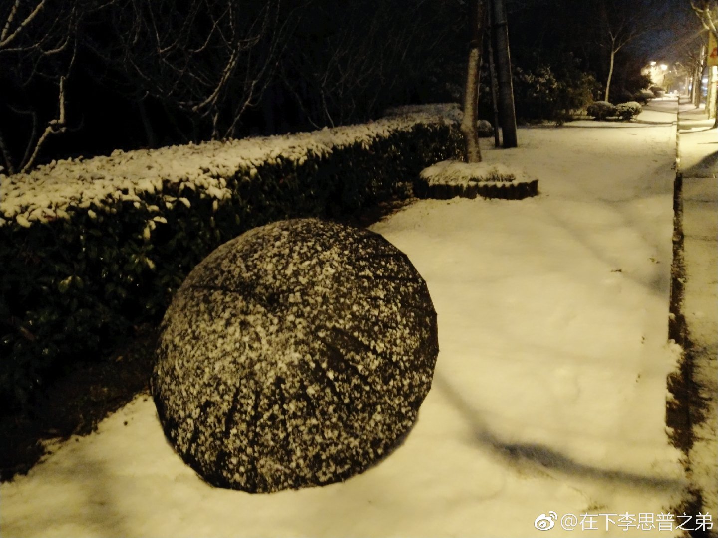 rt_20190125_125818_5.jpg