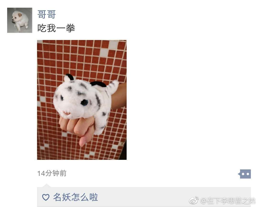 20180728_155820.jpg