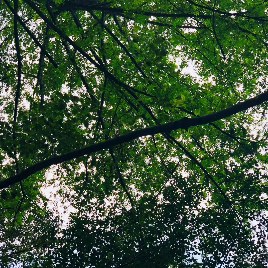 20220911_141725.jpg