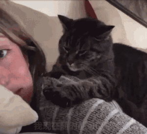 rt_20160321_163630.gif