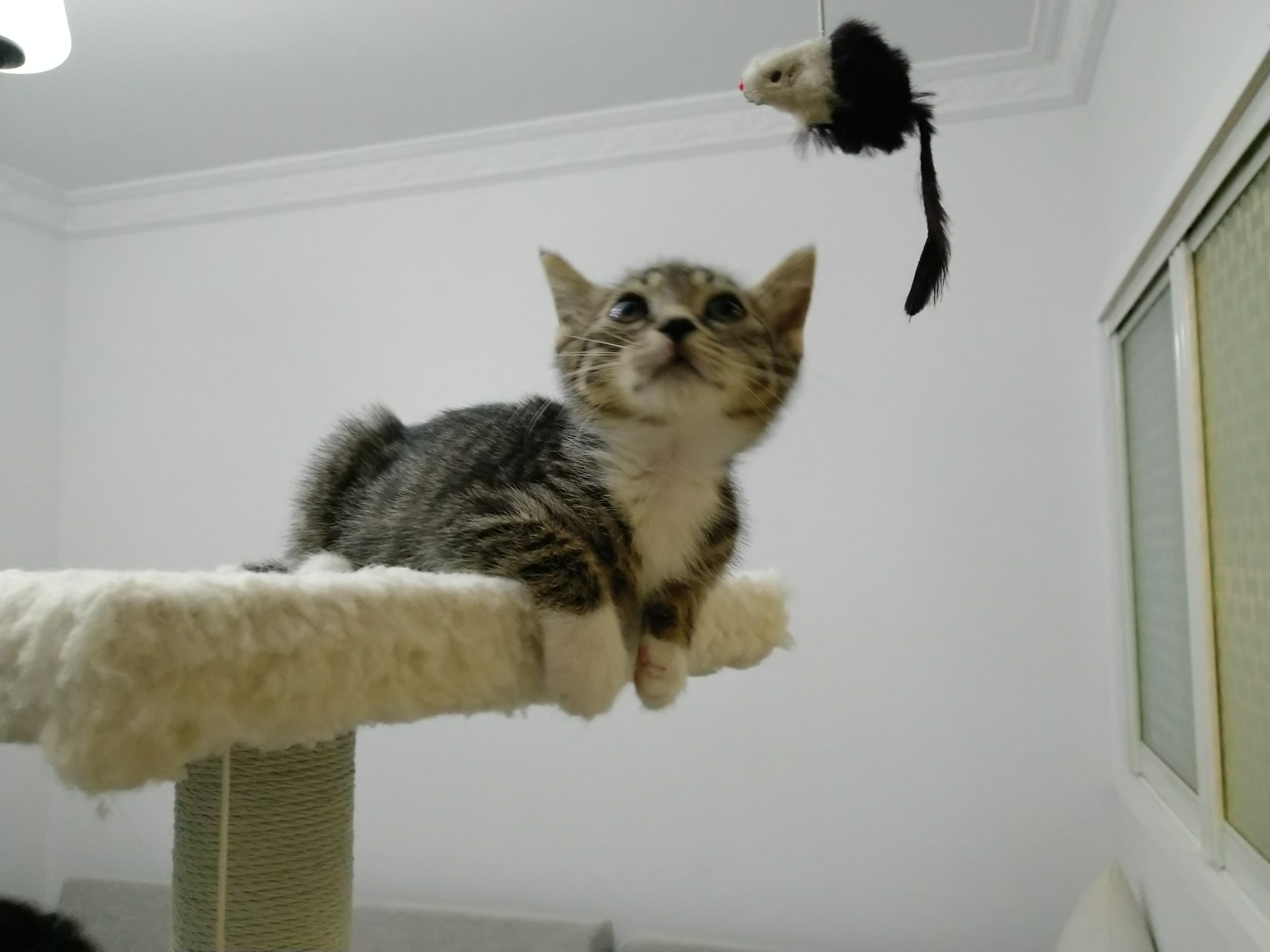 ws_383808.jpg