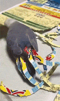 5q_340387.gif