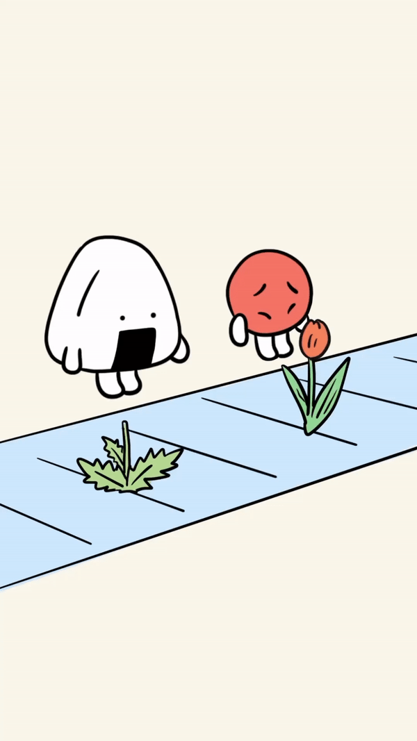 rt_20230509_084259_4.gif